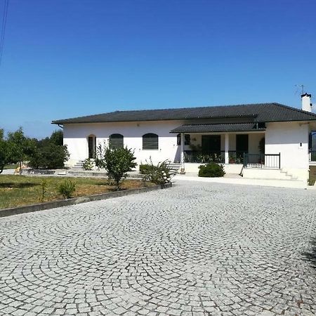 Casa dos Laços Viseu Extérieur photo